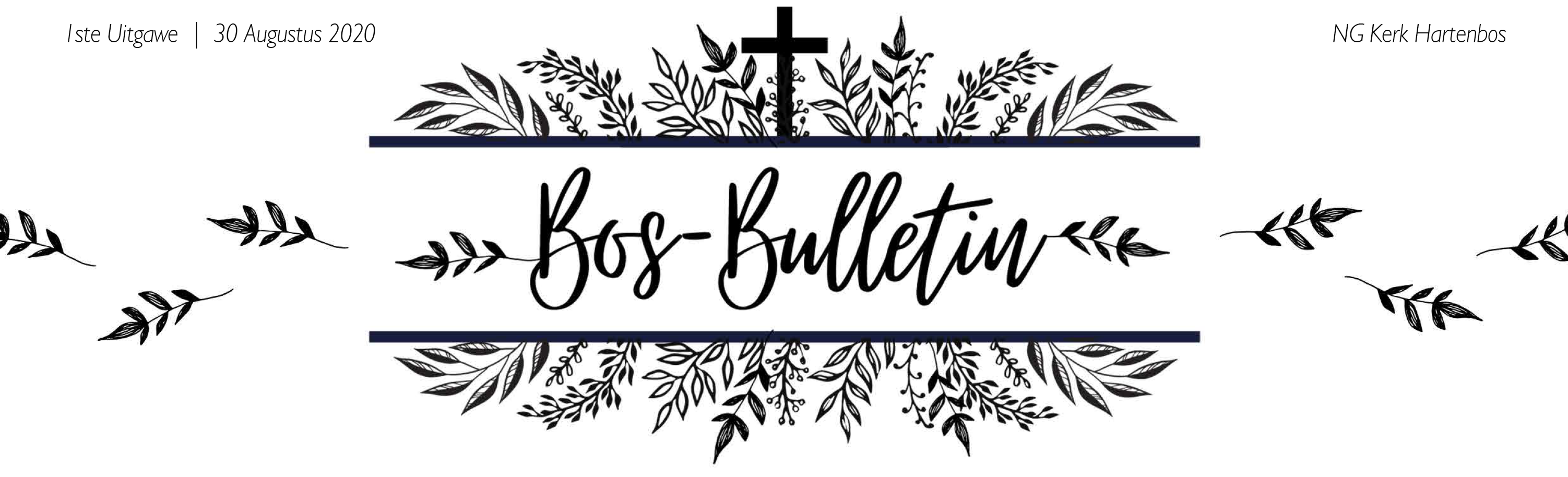 Bos Bulletin
